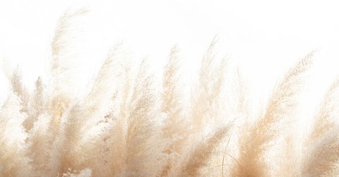 The Luxury Refresh Skin Experience